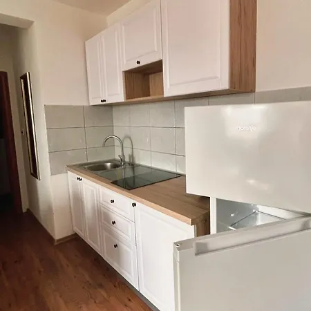 Apartment Gavric *